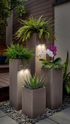 three cement planters with plants in them on the side of a building at night