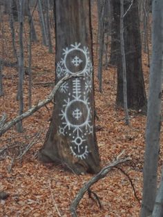 a tree in the middle of a forest with white drawings on it's bark