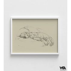 a black and white drawing of a dog laying on top of a bed next to a wall