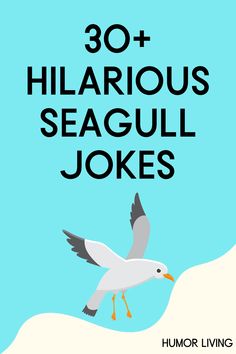 the cover of 30 + hilarious seagull jokes, with an image of a bird flying