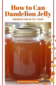 how to can dandelion jelly preserve for up to 1 year