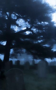 a blurry photo of a tree and headstones in a cemetery at night time