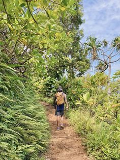 a man with a backpack walking down a dirt path in the woods on a sunny day