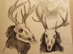 two deer heads with antlers drawn on paper