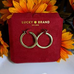 Lucky Brand Hoop Earrings, Gold Color. Lucky Brand Jewelry, Hoop Earrings Gold, Brand Jewelry, Earrings Gold, Lucky Brand, Gold Earrings, Gold Color, Jewelry Earrings, Hoop Earrings