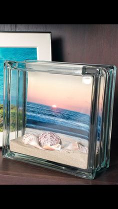 two framed pictures sitting on top of a wooden shelf next to a sea shell and starfish