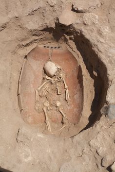 an ancient vase with a skeleton in it on the ground next to rocks and dirt