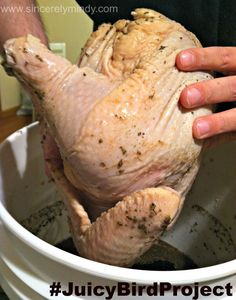 a person holding a whole chicken in a bucket with the words juicy bird project on it