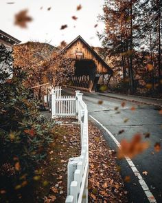 a white picket fence sitting next to a forest filled with lots of trees and leaves