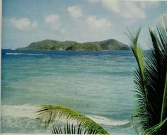 an island sits in the distance with palm trees on the foreground and blue water below