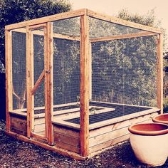 there is a chicken coop in the yard next to a planter and potted plants