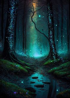 an image of a forest scene with trees and stars in the night sky, as well as water