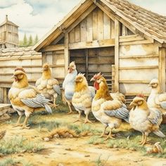 a group of chickens standing in front of a chicken coop