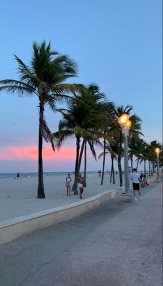 palm trees line the beach as people walk by