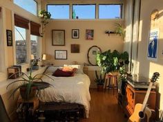 a bedroom with lots of plants in it