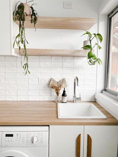 a washer and dryer in a kitchen with plants hanging over the top of them