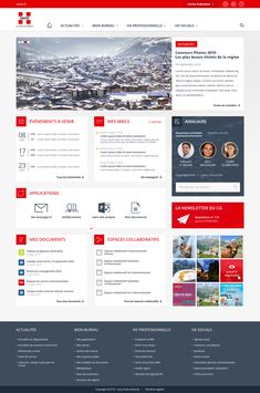 the red and gray website design