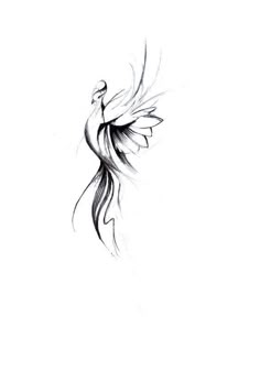 a black and white drawing of a bird