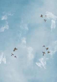 there are many birds flying in the blue sky with white clouds behind them on a sunny day