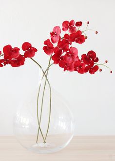 red flowers in a clear glass vase on a wooden table with white wall behind it