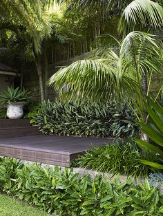 a wooden deck surrounded by tropical plants and trees