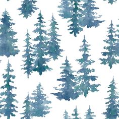 watercolor pine trees on a white background