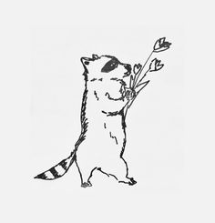 a black and white drawing of a raccoon holding flowers