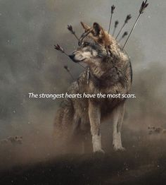 two wolfs standing in the middle of a field with an inspirational quote above them