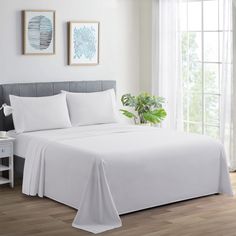 a bed with white sheets and pillows next to a potted plant on a table