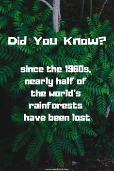 the words did you know? since the 1960s, nearly half of the world's rainforests have been lost