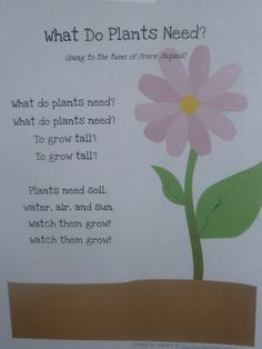 a plant is growing out of the ground with words below it that read what do plants need?