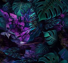 an image of some plants that are in the dark night time with purple and green colors