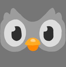 the face of an owl with big eyes and orange beak, on a gray background