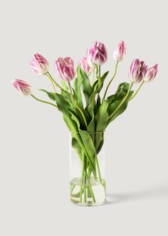 Luxe Arrangement of Mauve Faux Tulips in Glass Cylinder Vase Vase Of Tulips, Tulips Vase, Diy Flower Projects, Tulip Arrangement, Artificial Flower Centerpieces, Foam Texture, Tulip Centerpiece, Wooden Garden Bed, Tulips Arrangement