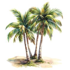 two palm trees are shown in this watercolor painting on white paper, and one is green