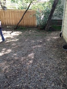 a person standing in the back yard near a fence and tree with no leaves on it