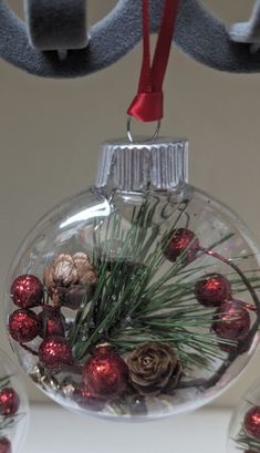 a glass ornament with pine cones and evergreen needles in it, hanging from a red ribbon