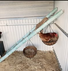 two chickens are in their cages hanging from the side of a building with hay and straw