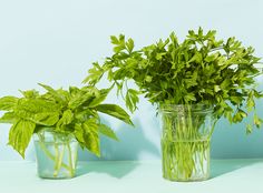 two clear vases with green plants in them