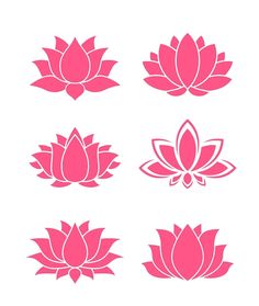 pink lotus flower icons on white background stock photo - budget conscious, simple and easy to use