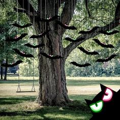 a cat is sitting under a tree with bats hanging from it's branches