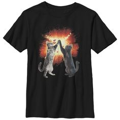 Everyone wishes their handshake could be as cool as the Lost Gods Cat High Five Explosion Black T-Shirt. This funny black shirt features two cats high-pawing with an explosion of fire printed across the front. Size: xl. Gender: male. Age Group: kids. Material: Cotton. Rabid Dog, Dog Noises, Be A Millionaire, Boy Cat, Two Cats, Boys Graphic Tee, High Five, Christmas 2016, Slim Fit Shorts