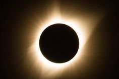 the sun's corona corona during a solar eclipse