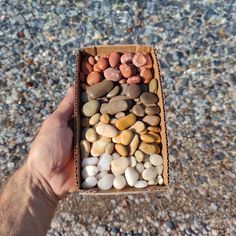 a hand holding a box filled with rocks on top of a gravel covered ground next to a sidewalk