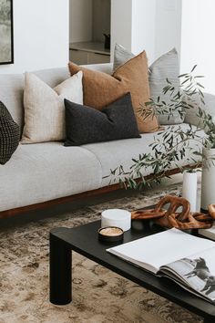 a living room filled with furniture and pillows on top of a coffee table next to a plant