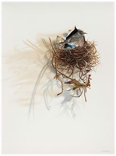 a bird sitting on top of a nest filled with twigs