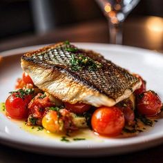 Crispy seared seabass with a fresh tomato, basil, lemon and olive oil relish. Fish Course Fine Dining, Upscale Italian Food, Salmon Dishes Fine Dining, Bistro Food Ideas Dishes, Fancy Restaurant Food Fine Dining, Fancy Fish Recipes, Fancy Dinner Recipes Fine Dining, Fancy Seafood Dishes