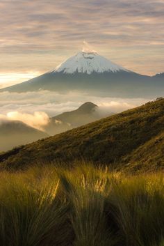 a mountain covered in clouds and grass on top of a hill