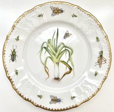 a plate with some bugs on it and plants in the center, painted onto it