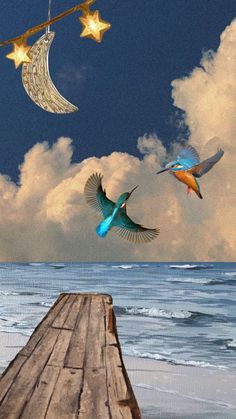 two birds flying over a wooden pier on the ocean under a cloudy blue sky with stars